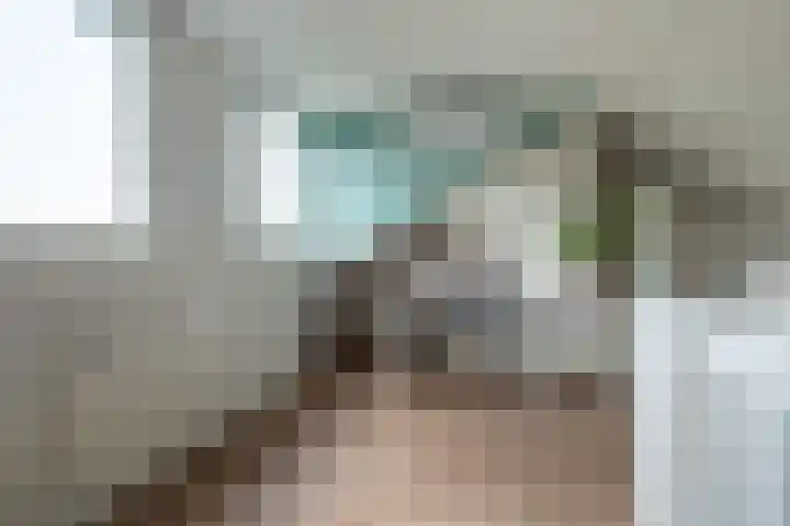 Het Wiel 28 Dalem thumbnail 21