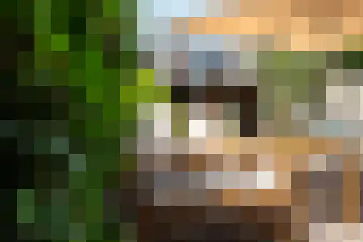 Het Wiel 28 Dalem thumbnail 23