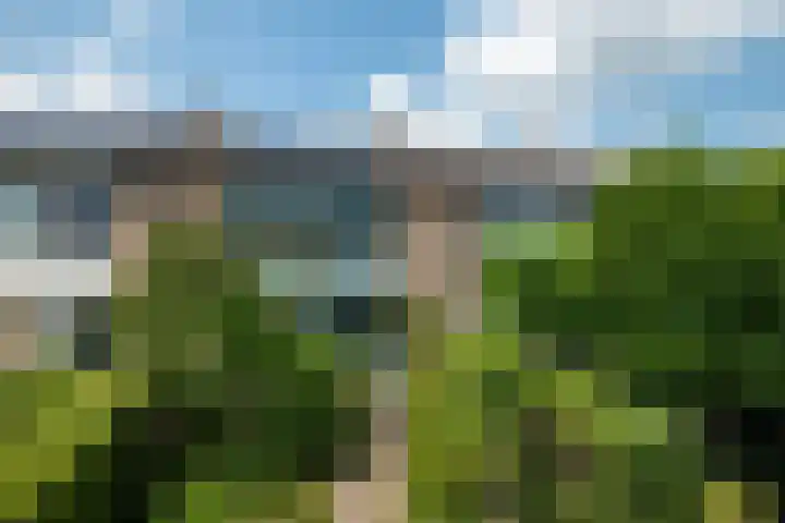 Het Wiel 28 Dalem thumbnail 25