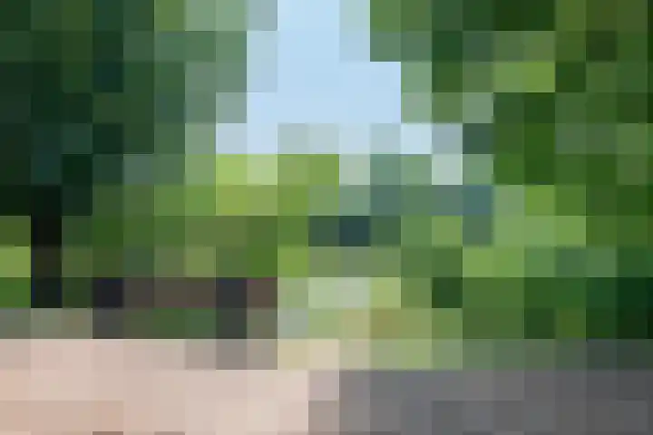 Het Wiel 28 Dalem thumbnail 26
