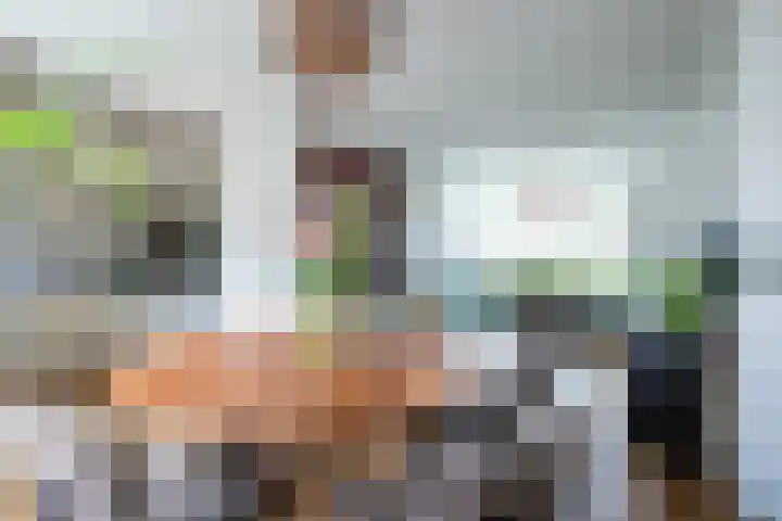 Het Wiel 28 Dalem thumbnail 6