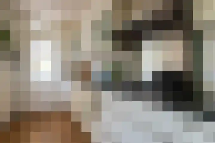 Het Wiel 28 Dalem thumbnail 7
