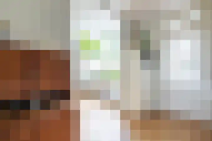 Het Wiel 28 Dalem thumbnail 9