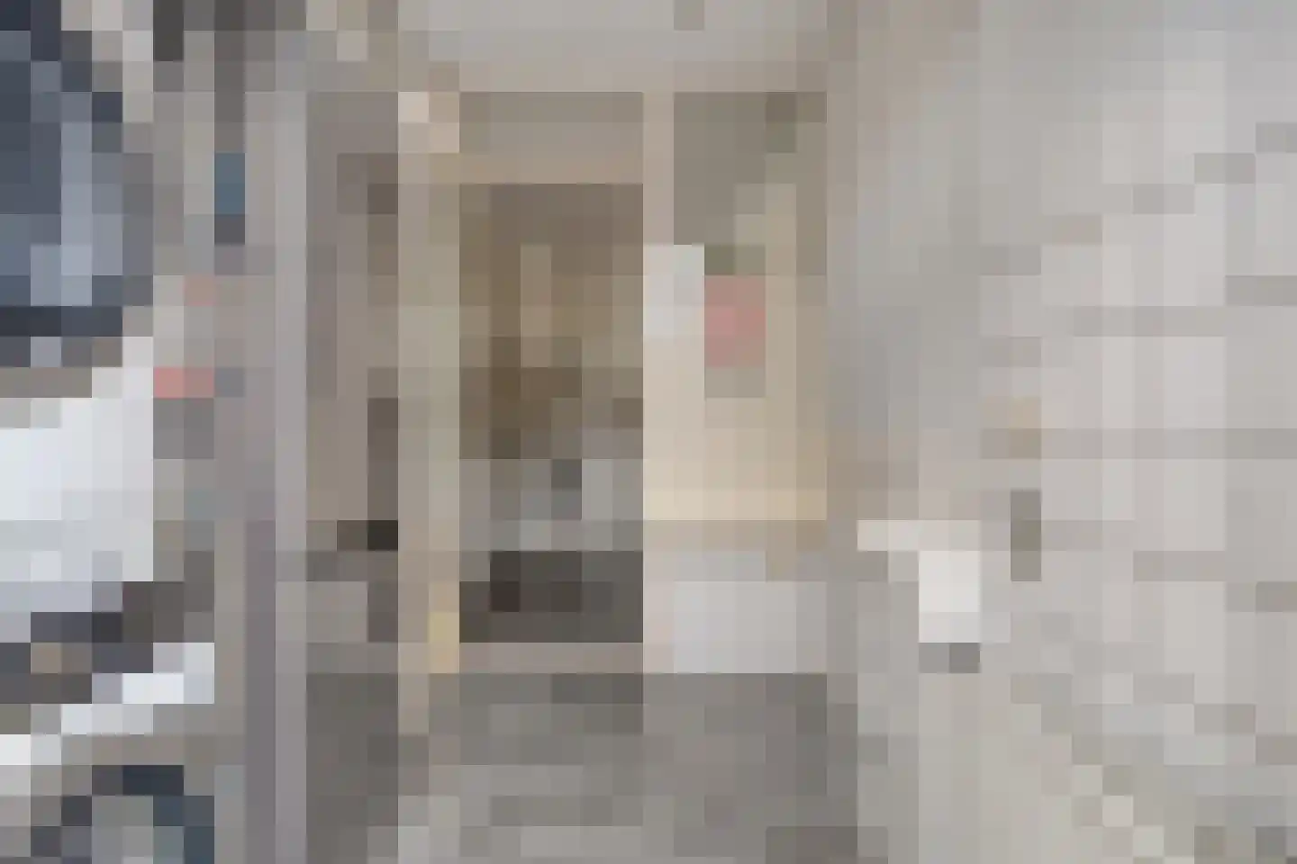 Het Wiel 30 Dalem thumbnail 15