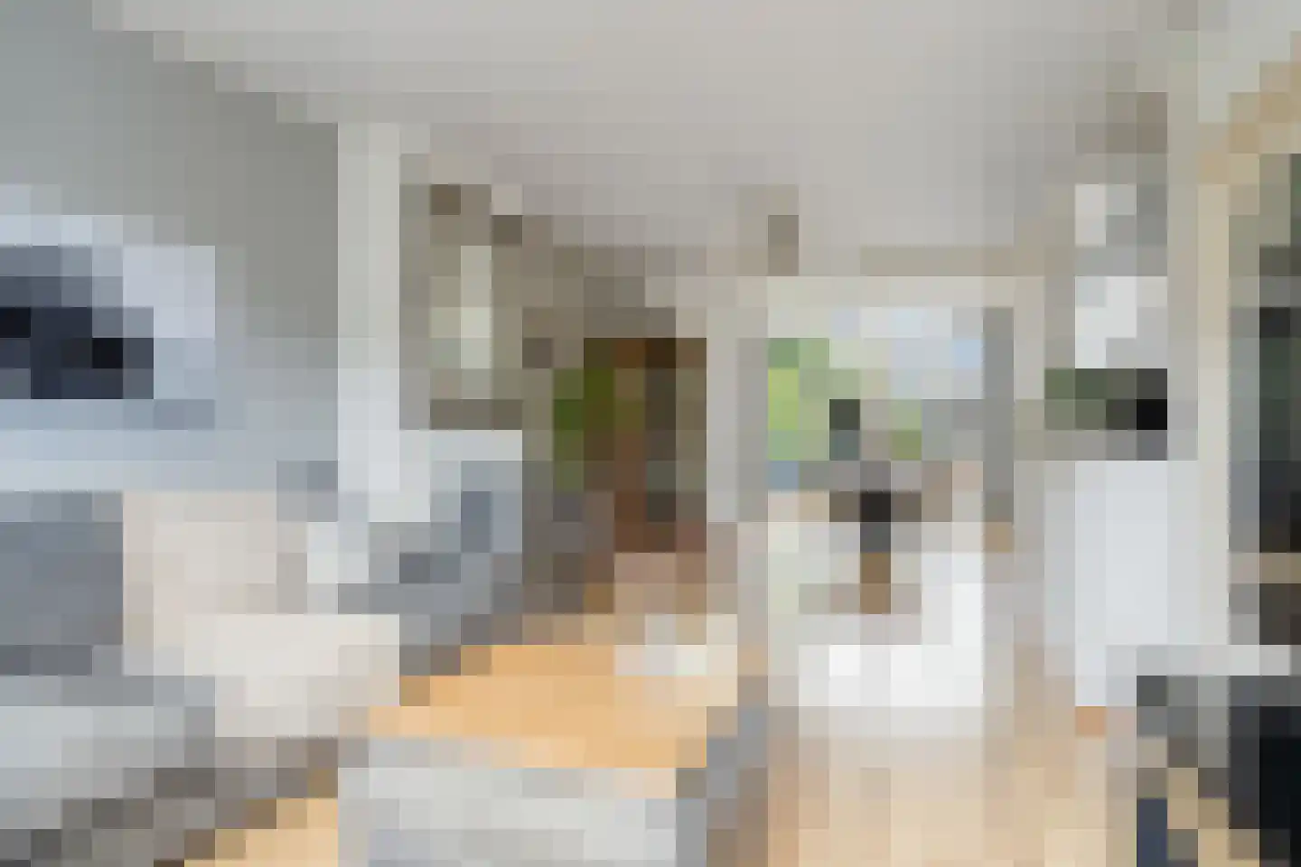 Het Wiel 30 Dalem foto 2