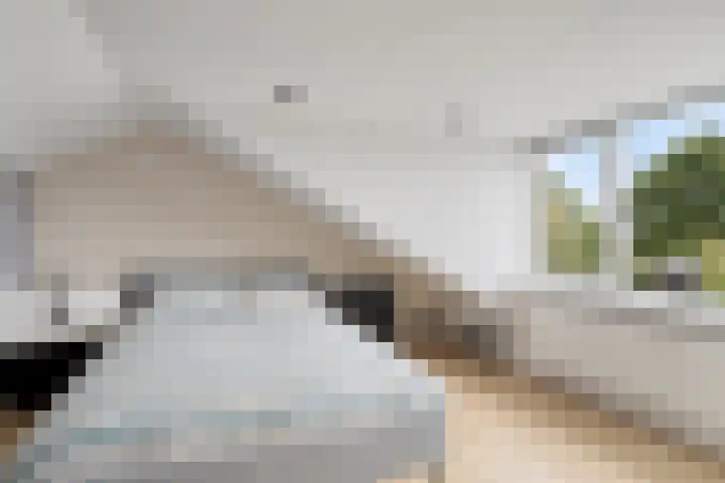 Het Wiel 30 Dalem thumbnail 21
