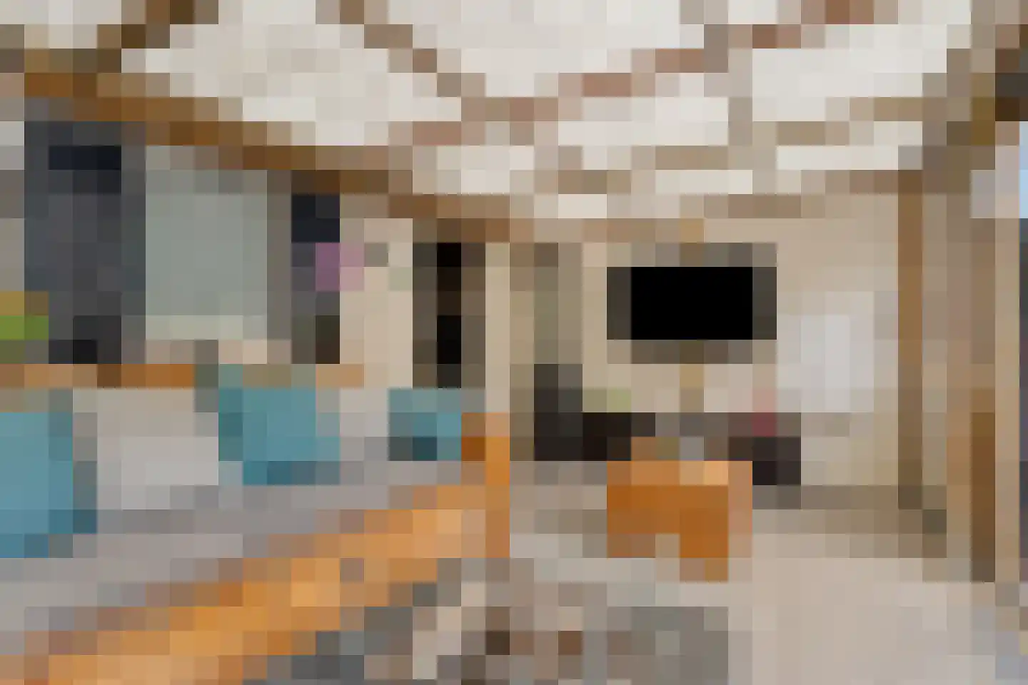 Het Wiel 30 Dalem thumbnail 24