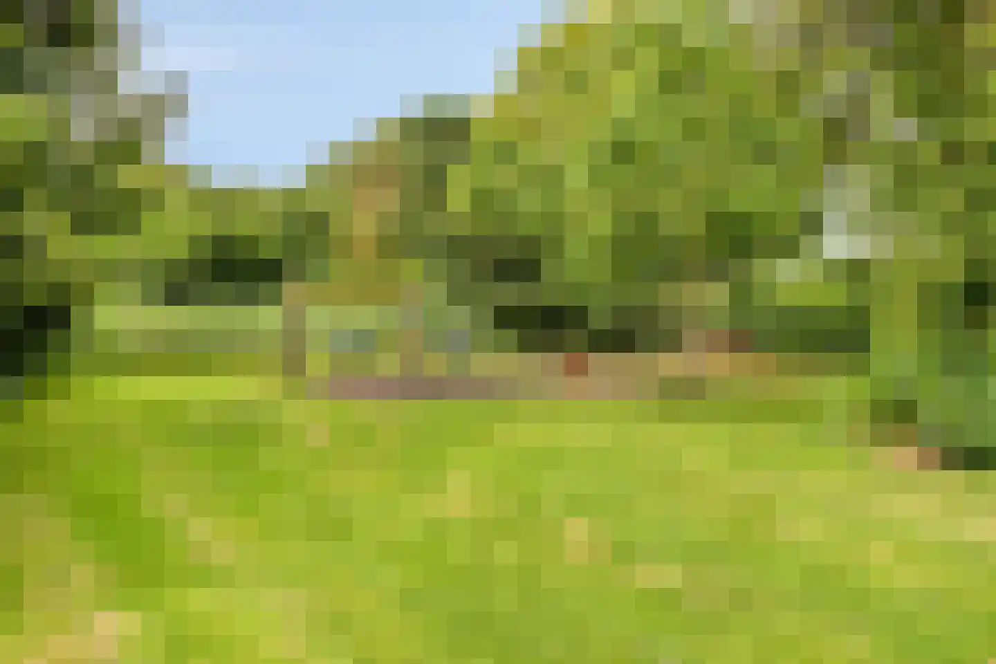 Het Wiel 30 Dalem thumbnail 26
