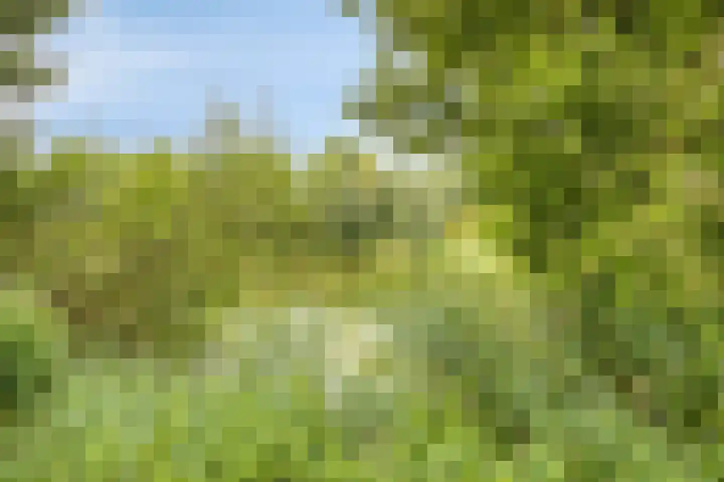 Het Wiel 30 Dalem thumbnail 27