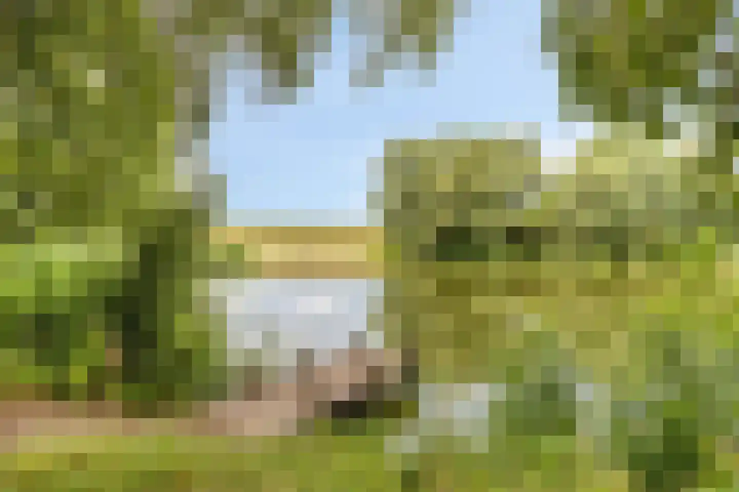 Het Wiel 30 Dalem thumbnail 28