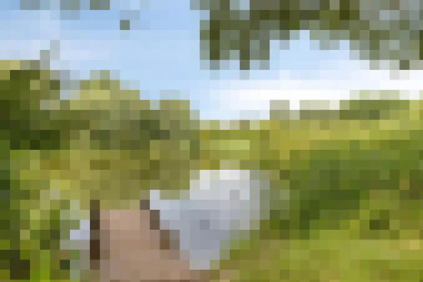 Het Wiel 30 Dalem thumbnail 29