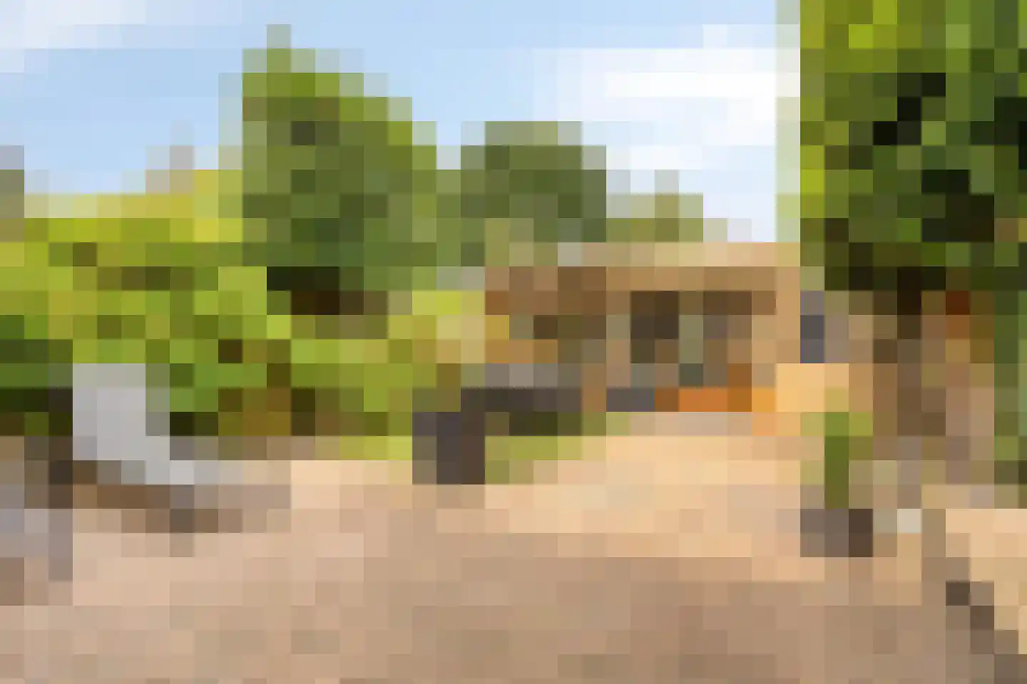 Het Wiel 30 Dalem thumbnail 4