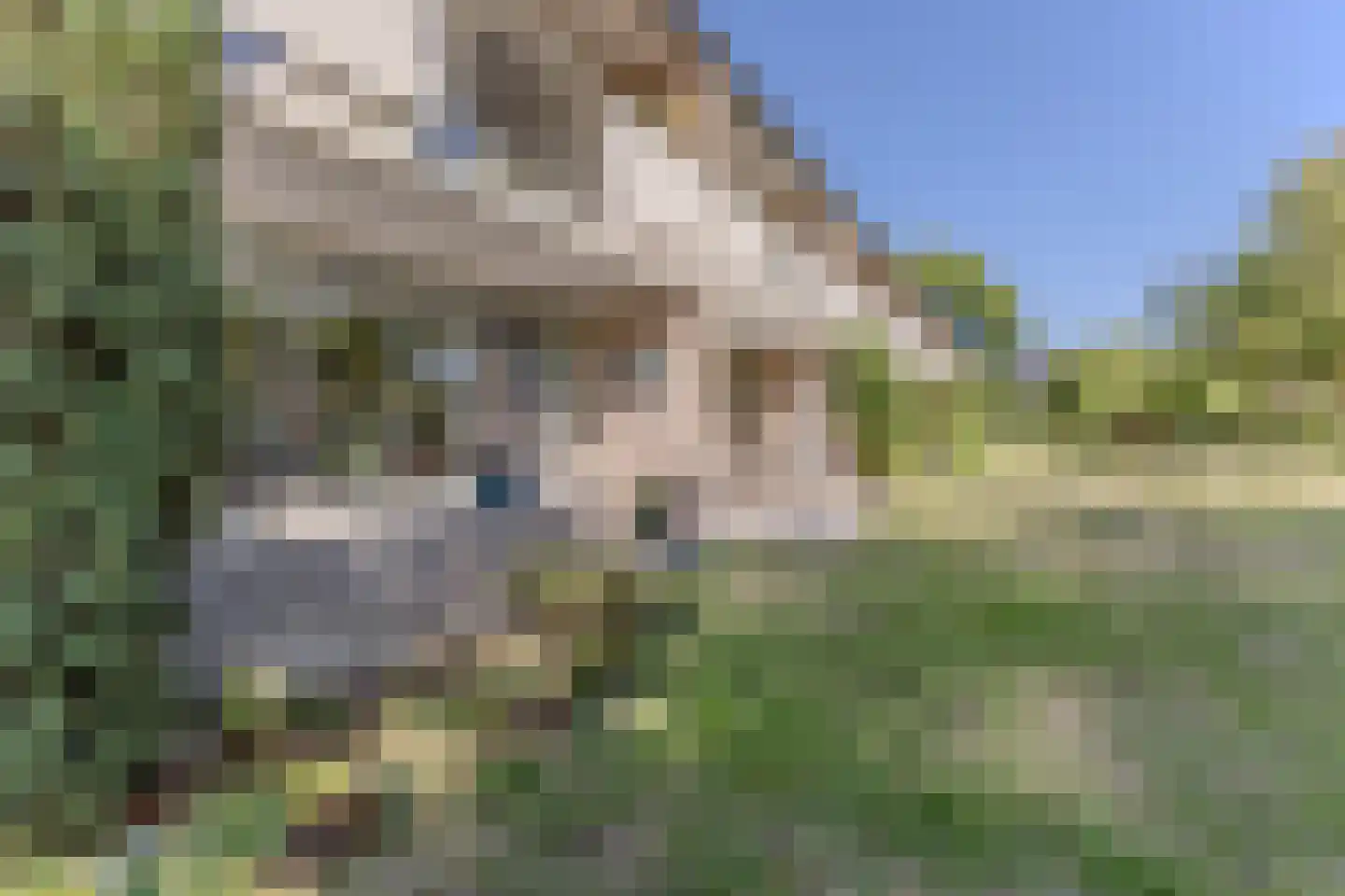 Het Wielemakersland 2 Heiloo thumbnail 20