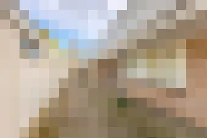 Het Wielemakersland 30 Heiloo thumbnail 20