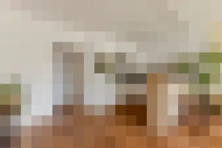 Het Wielemakersland 30 Heiloo thumbnail 5