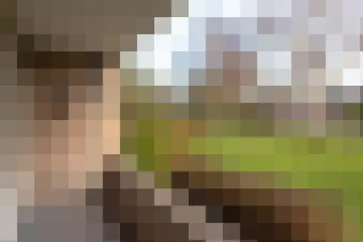 Het Wielemakersland 8 Heiloo thumbnail 25