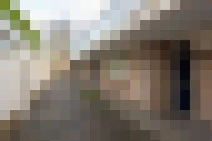 Het Wielemakersland 8 Heiloo thumbnail 27