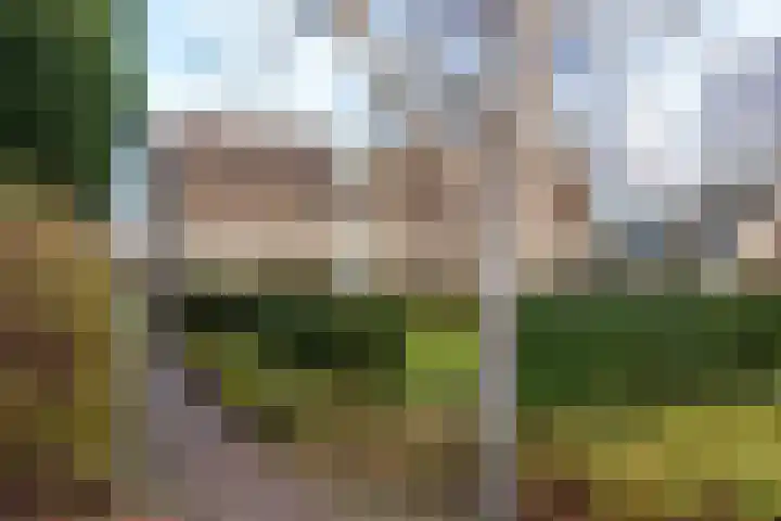 Het Wielemakersland 8 Heiloo thumbnail 30