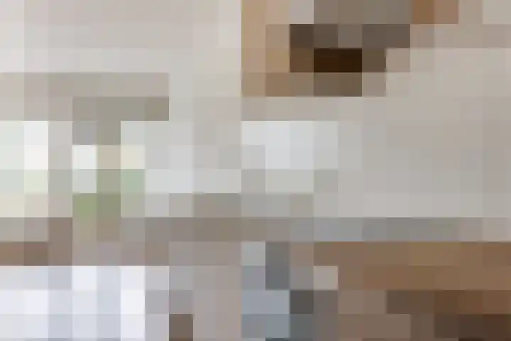 Het Wielemakersland 8 Heiloo thumbnail 9