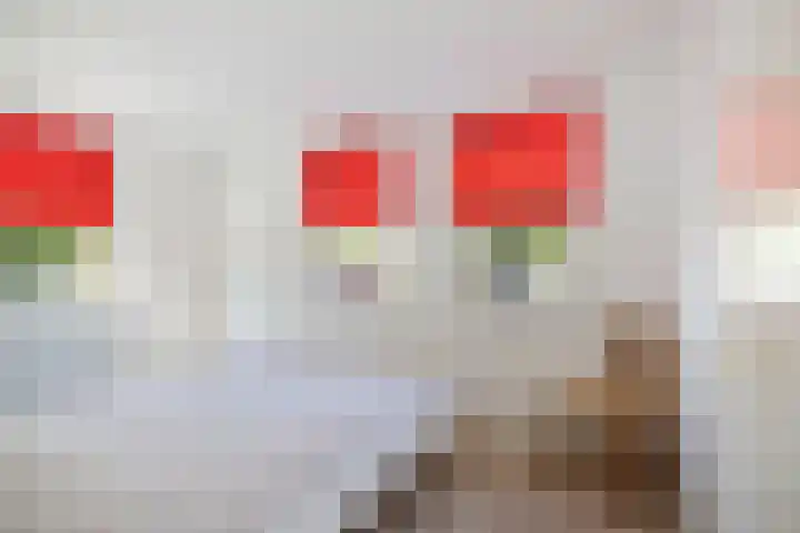 het Wiemelink 7 Vorden thumbnail 19
