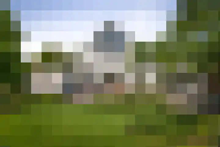 het Wiemelink 7 Vorden foto 2