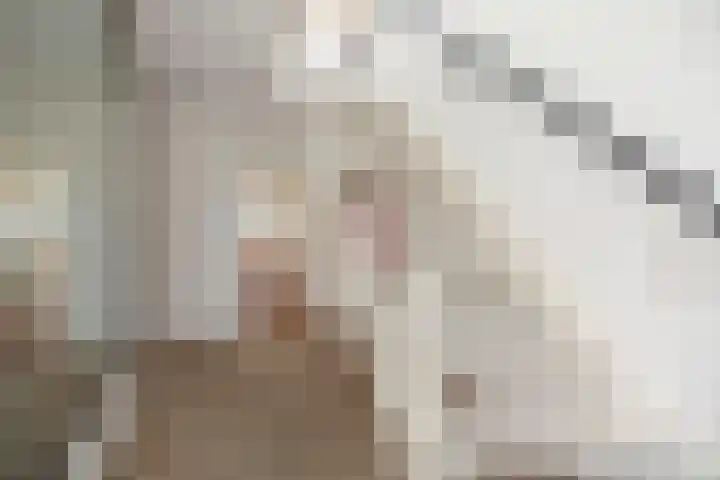 het Wiemelink 7 Vorden thumbnail 22