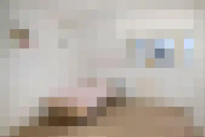 het Wiemelink 7 Vorden thumbnail 27
