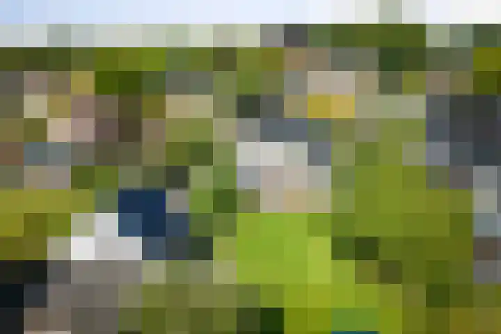 het Wiemelink 7 Vorden foto 3