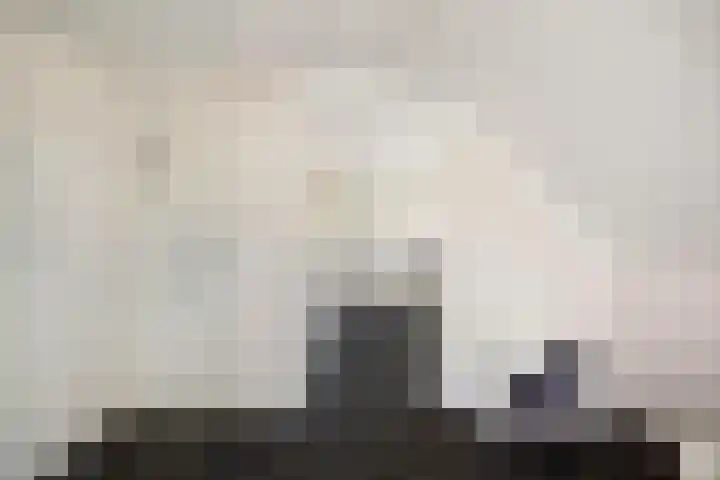 het Wiemelink 7 Vorden thumbnail 32