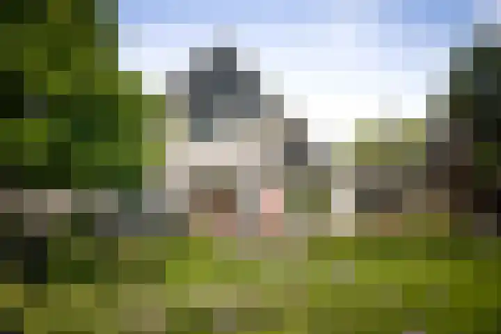 het Wiemelink 7 Vorden thumbnail 36