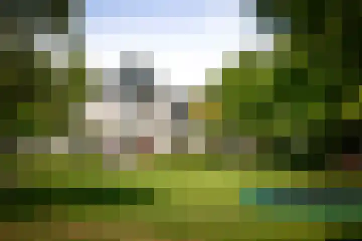 het Wiemelink 7 Vorden thumbnail 37