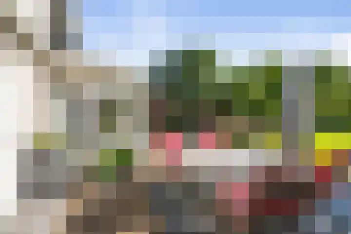 het Wiemelink 7 Vorden thumbnail 38