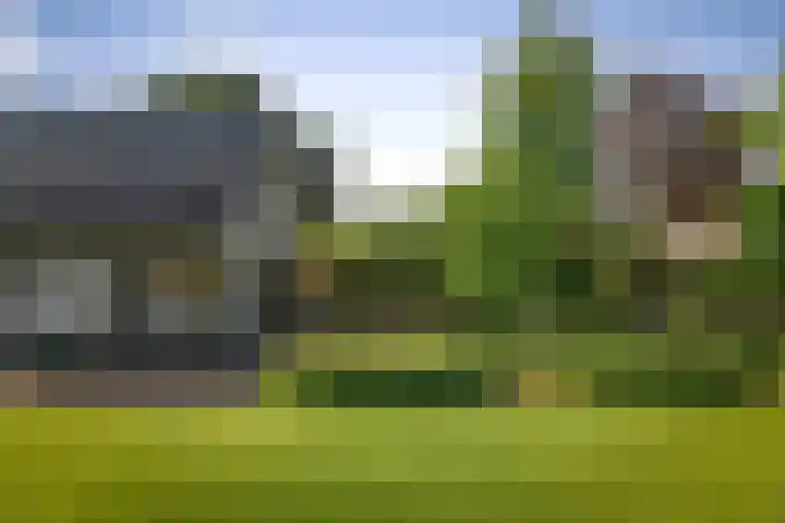 het Wiemelink 7 Vorden thumbnail 39