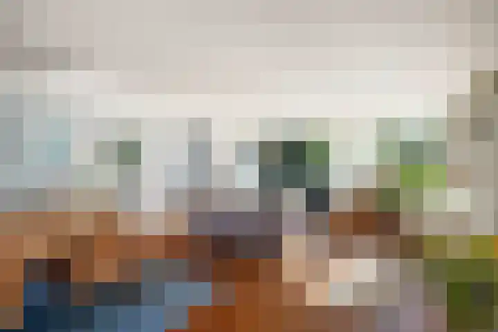 het Wiemelink 7 Vorden thumbnail 4