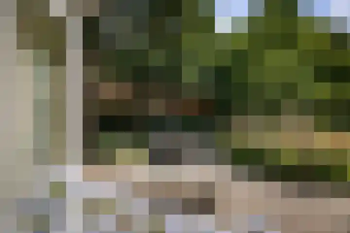 het Wiemelink 7 Vorden thumbnail 41