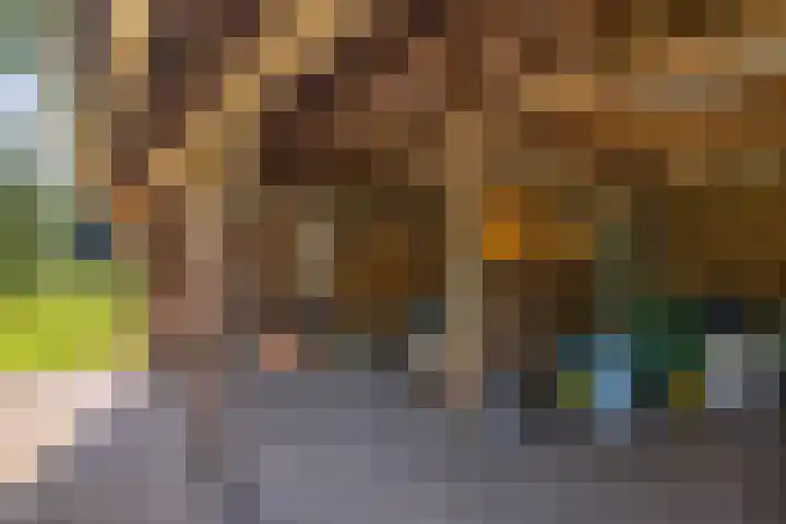het Wiemelink 7 Vorden thumbnail 45