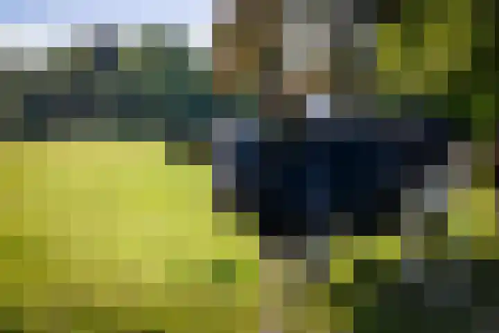het Wiemelink 7 Vorden thumbnail 46