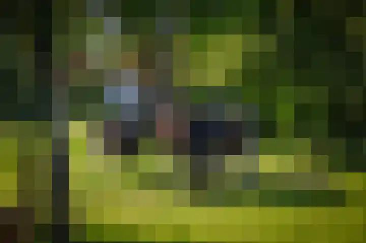het Wiemelink 7 Vorden thumbnail 47