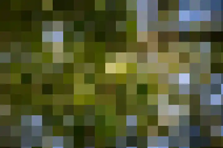 het Wiemelink 7 Vorden thumbnail 48