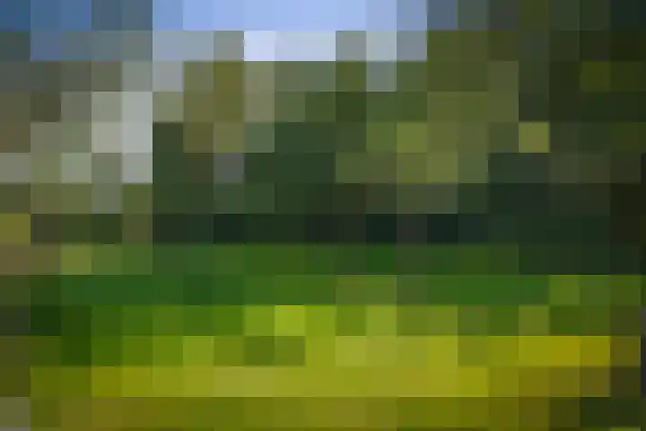 het Wiemelink 7 Vorden thumbnail 49