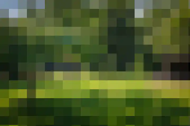 het Wiemelink 7 Vorden thumbnail 50