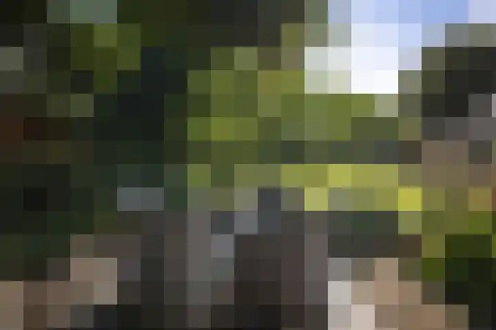 het Wiemelink 7 Vorden thumbnail 51