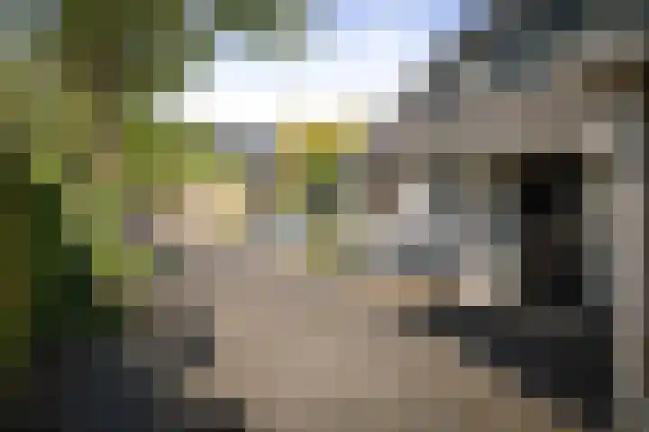 het Wiemelink 7 Vorden thumbnail 52