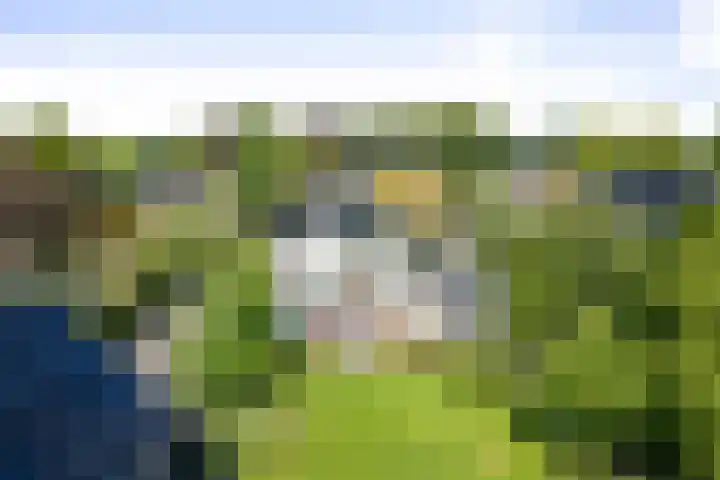 het Wiemelink 7 Vorden thumbnail 54
