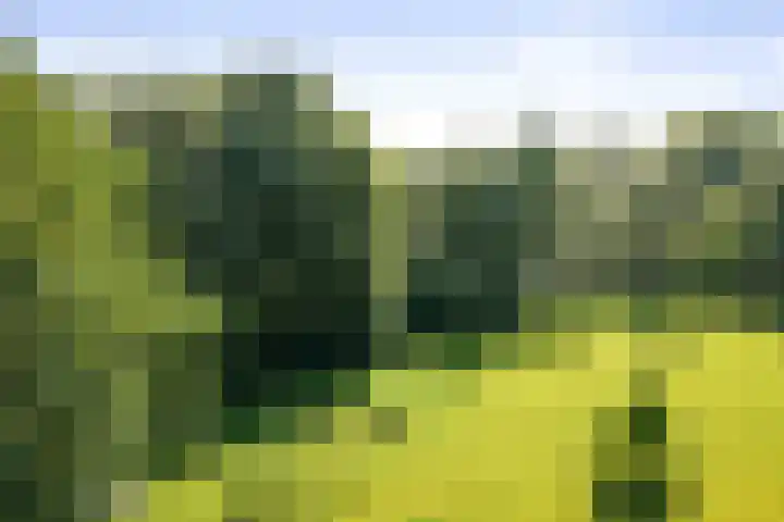 het Wiemelink 7 Vorden thumbnail 55