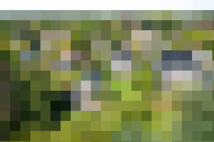 het Wiemelink 7 Vorden thumbnail 56