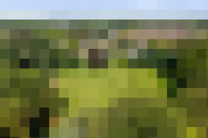 het Wiemelink 7 Vorden thumbnail 57