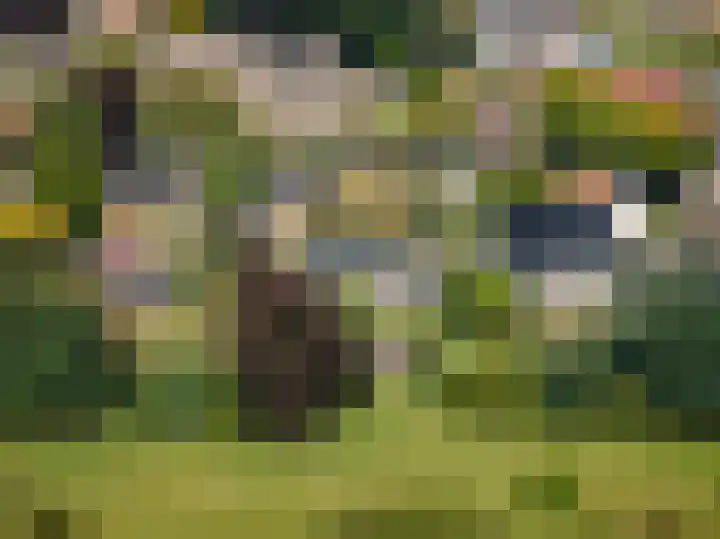 het Wiemelink 7 Vorden thumbnail 58