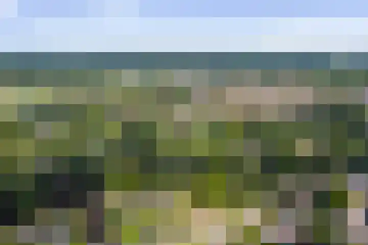 het Wiemelink 7 Vorden thumbnail 59