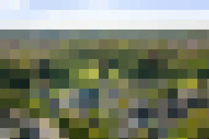 het Wiemelink 7 Vorden thumbnail 60